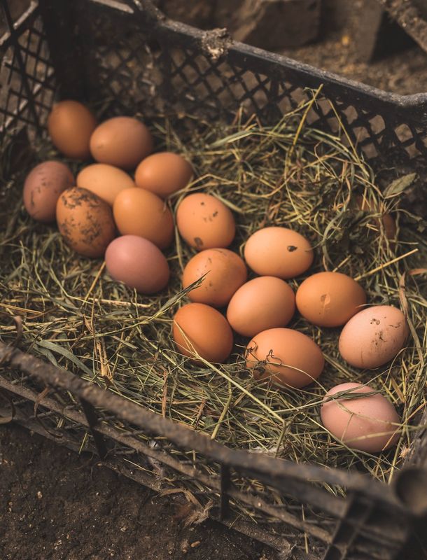 Rendering of an accessory dwelling unit