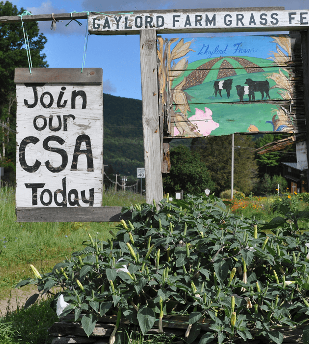 staff member smiling