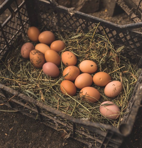 Egg cartons at market