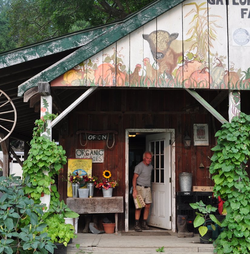 Hadley leaving store