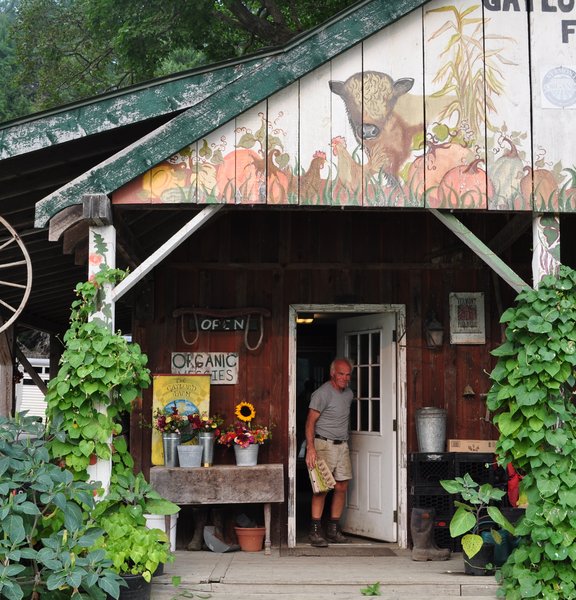 Hadley leaving store