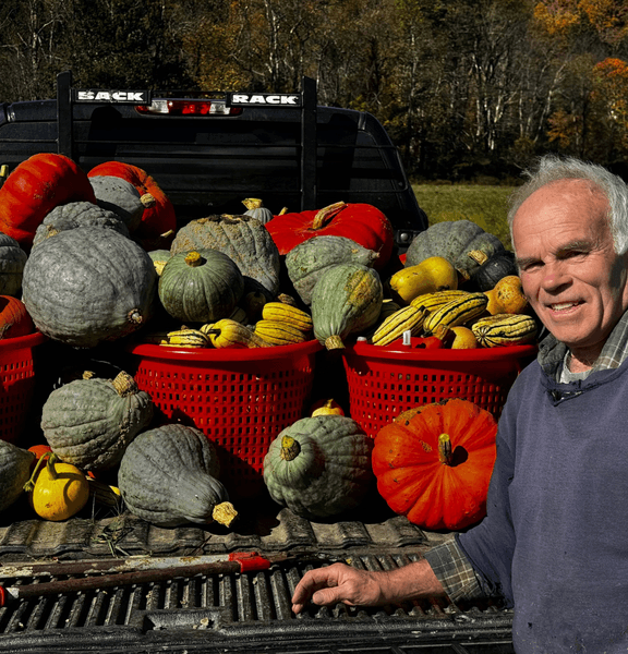 Greenhouse with landscape