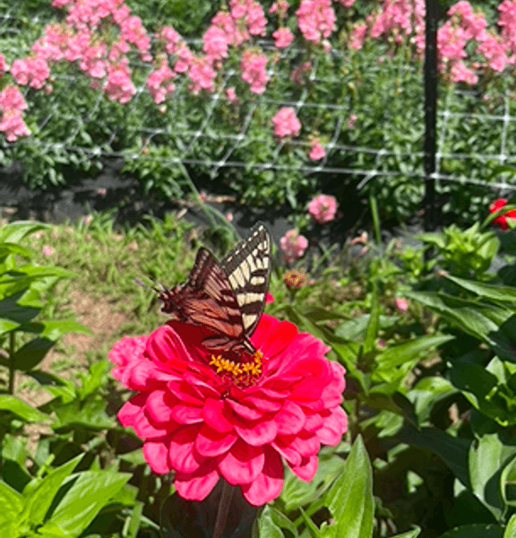 Farm family portrait