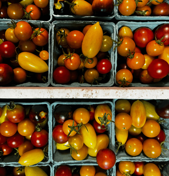 Packaged meat products